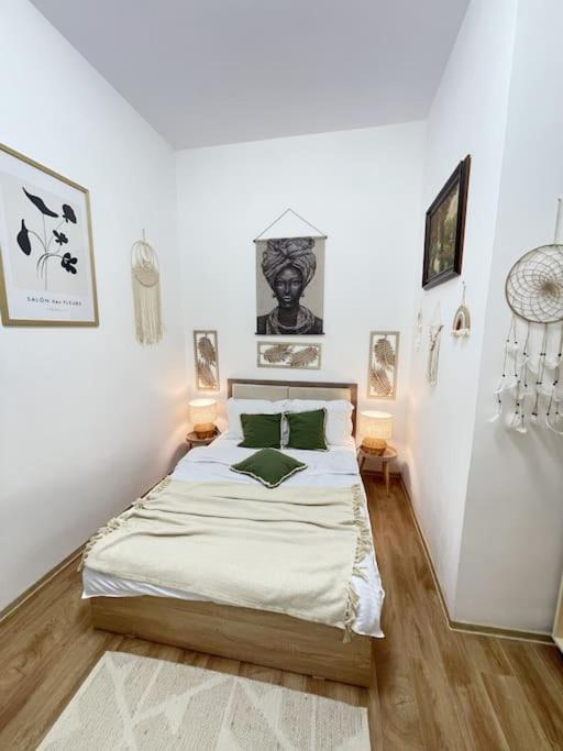 Apartament In Centrul Istoric Oradea Buitenkant foto